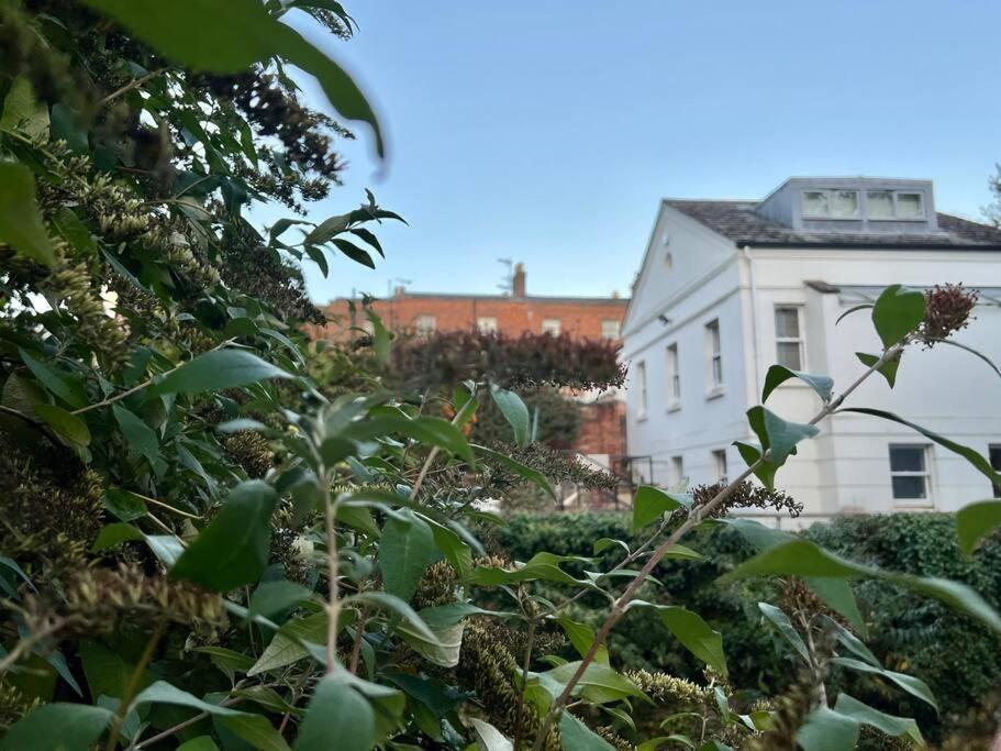 Vernon Place Town Centre, Vernon Cottage 3-Bed With Parking, 1A Vernon Court 2-Bed With Parking, 1B Studio No Parking, Off The High Street Next To Sandford Park Cheltenham Eksteriør billede