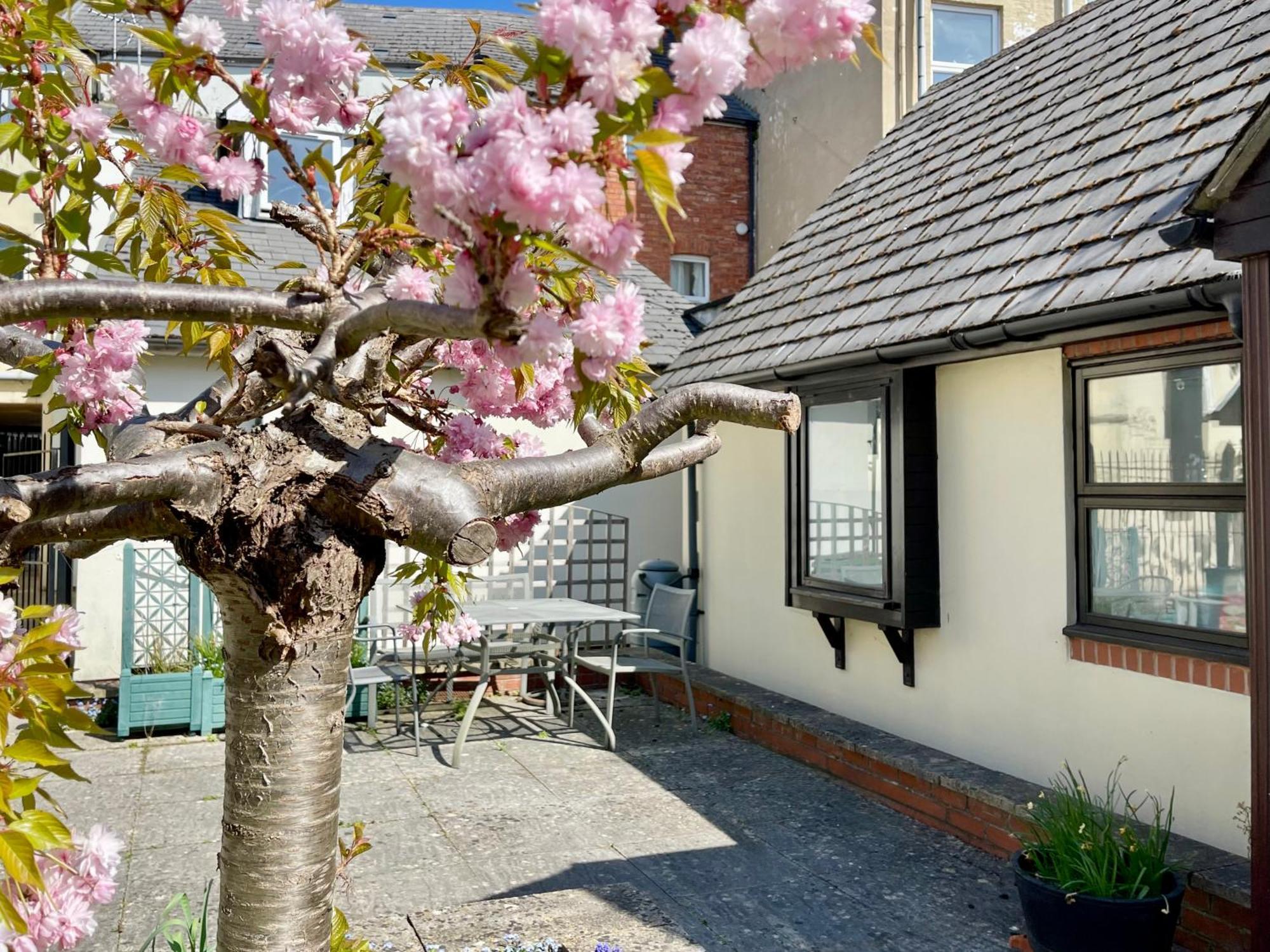 Vernon Place Town Centre, Vernon Cottage 3-Bed With Parking, 1A Vernon Court 2-Bed With Parking, 1B Studio No Parking, Off The High Street Next To Sandford Park Cheltenham Eksteriør billede